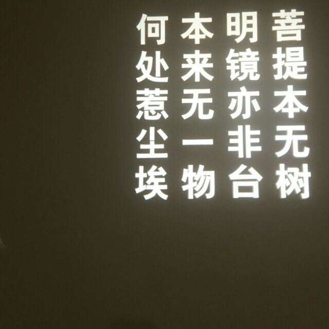 简单易懂：一波发光体