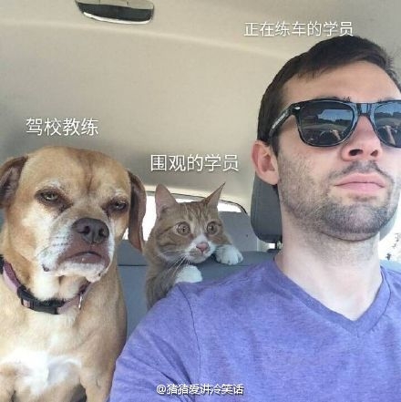 学车的我 不能再恰当了