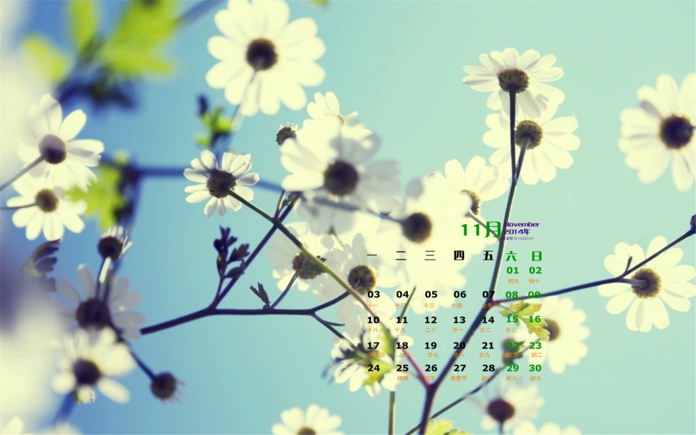 2014年11月日历桌面壁纸好看的清新绿色植物护眼图片