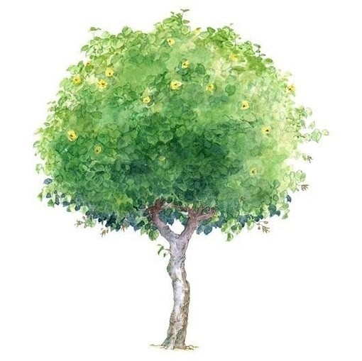 穿不完的地摊货，逛不完的菜市场