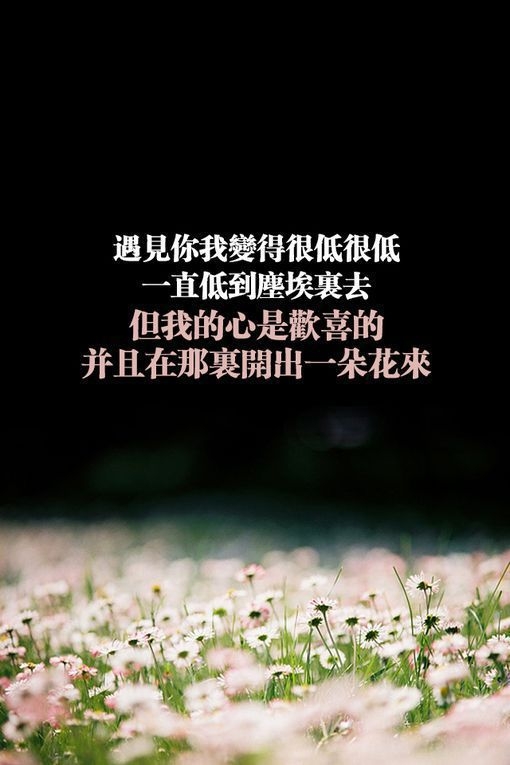 恨怀念以前的自己 敢爱敢恨敢狂奔
