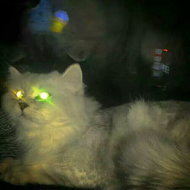 良子xi