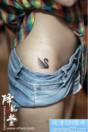 女孩子胯部小天鹅纹身图片