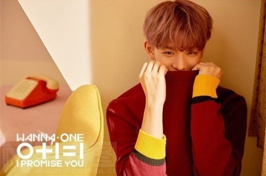 wannaone1-1=0专辑 wannaone专辑宣传照