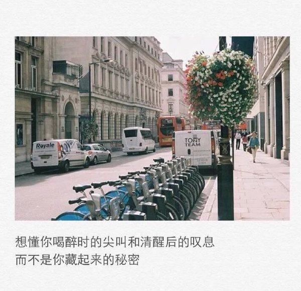 等有一天自己变得孤立，我会很想你