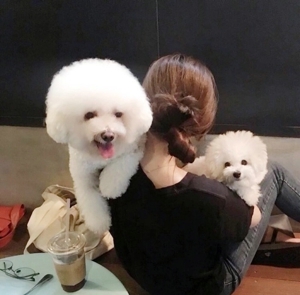 清纯美丽大方俊俏女生头像