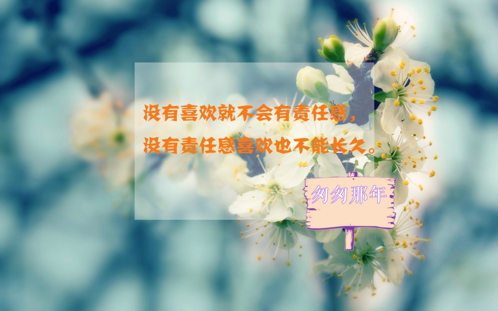 匆匆那年经典语录图片壁纸