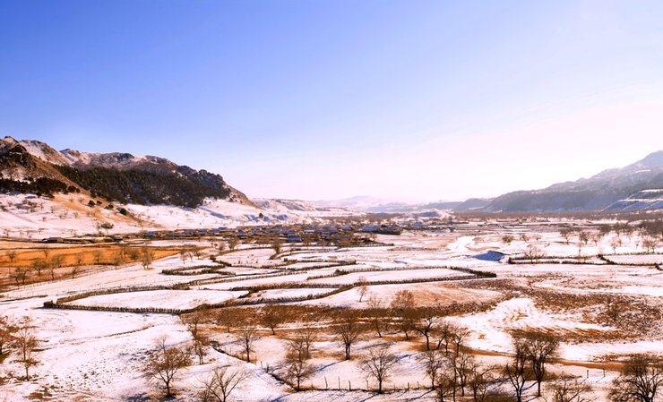 塞罕坝之冬美丽风景