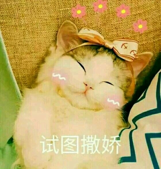 超可爱小喵咪表情图