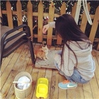 个性时尚抱猫美女qq头像