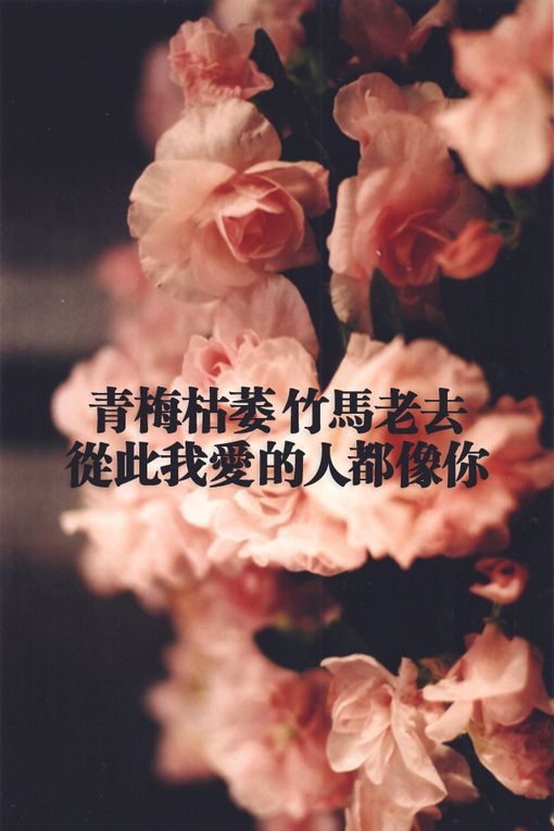 恨怀念以前的自己 敢爱敢恨敢狂奔