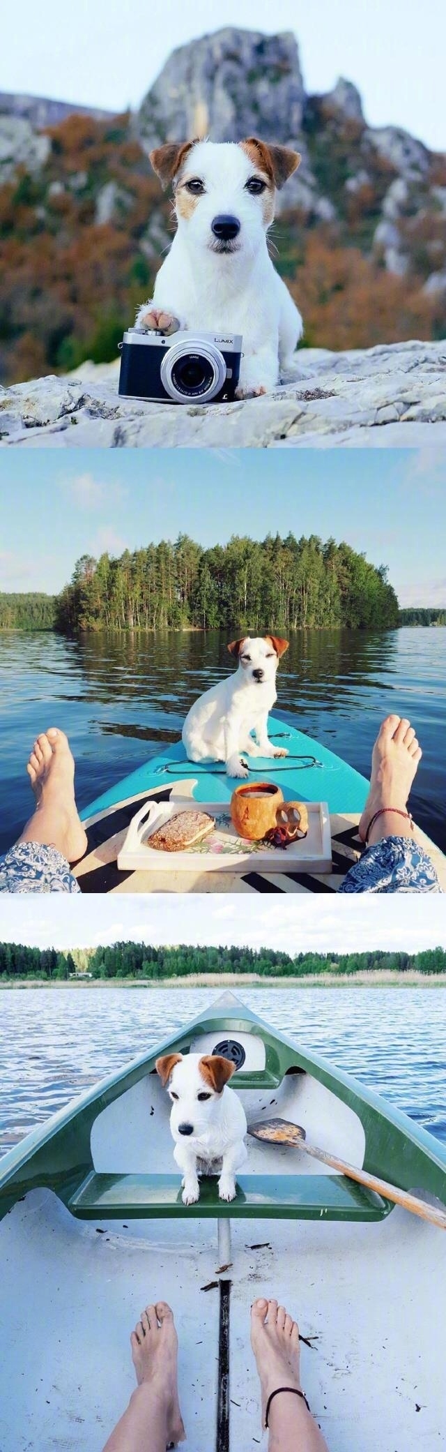 带你走遍我看过的一切 ​​​​