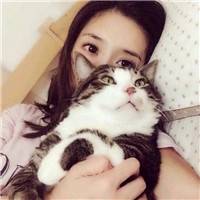 个性时尚抱猫美女qq头像