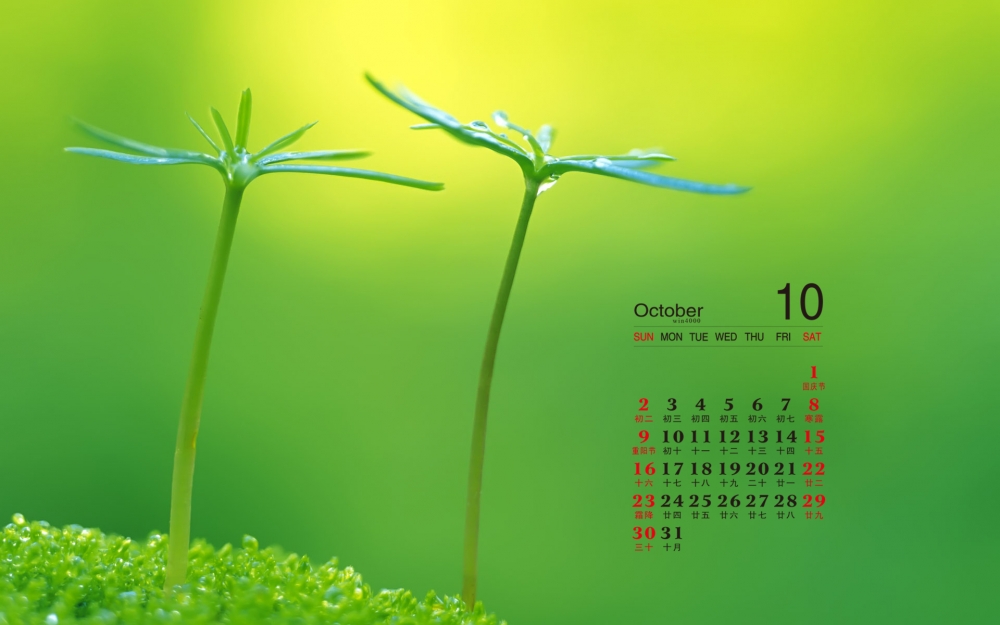 2016年10月日历清新绿色风景高清电脑壁纸
