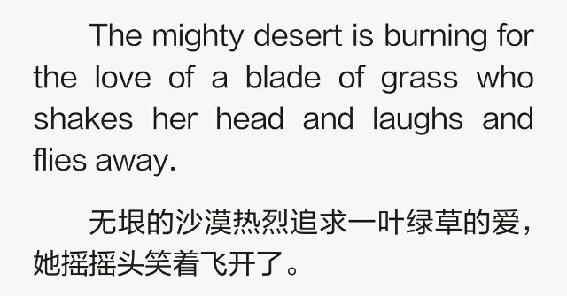 黑白影画。