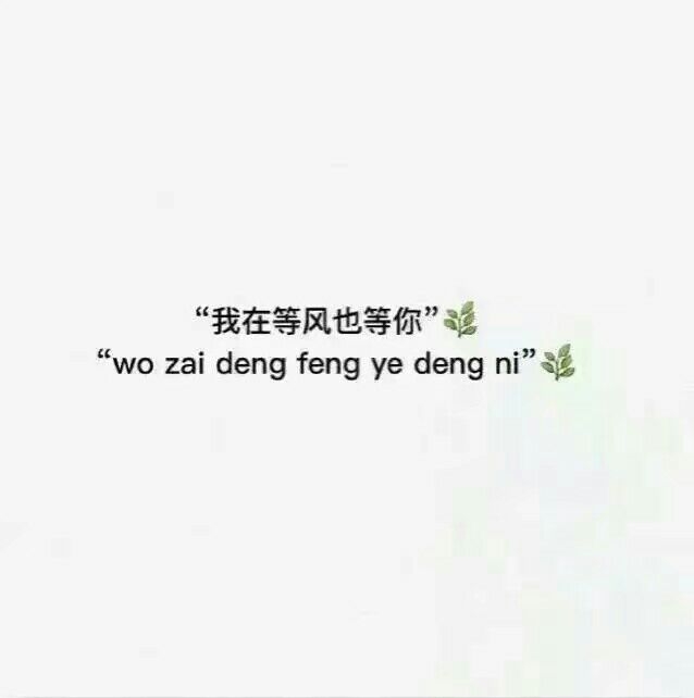 林莜:不建议你的诋毁 毕竟狗会向每个人犬吠
