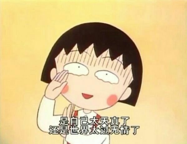 樱桃小丸子.