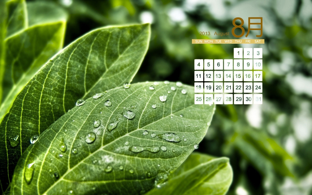 2013年8月日历桌面壁纸之植物景色
