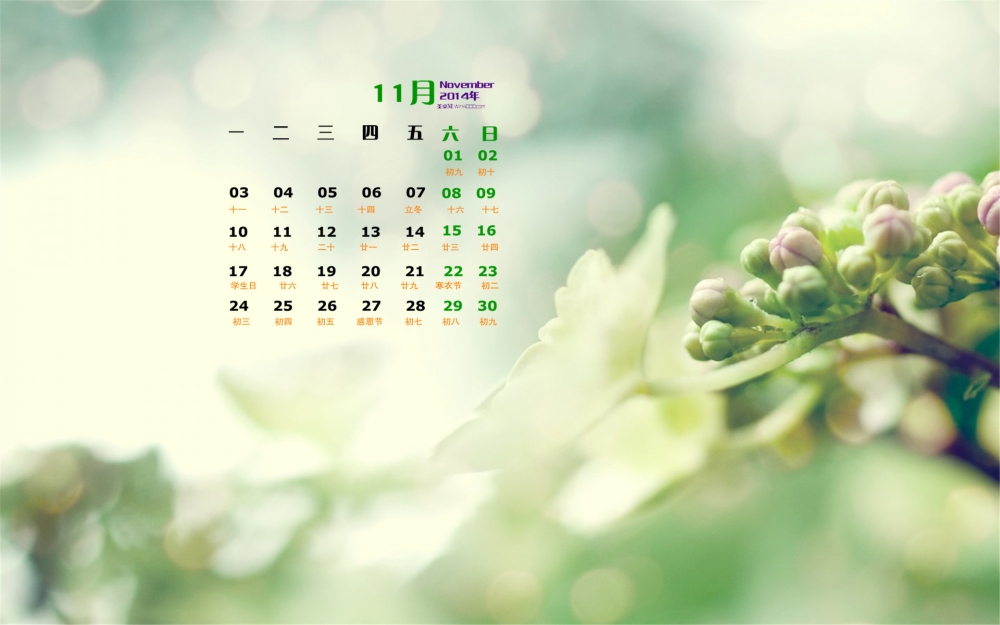 2014年11月日历桌面壁纸好看的清新绿色植物护眼图片