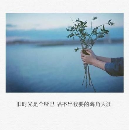 后来你牵了谁的手，替谁挡着风。