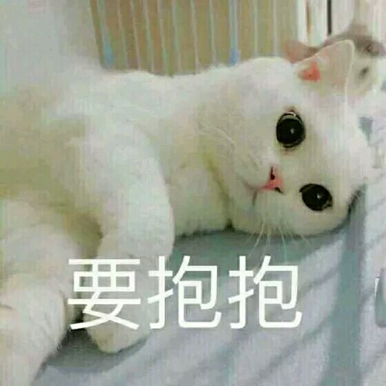 超可爱小喵咪表情图