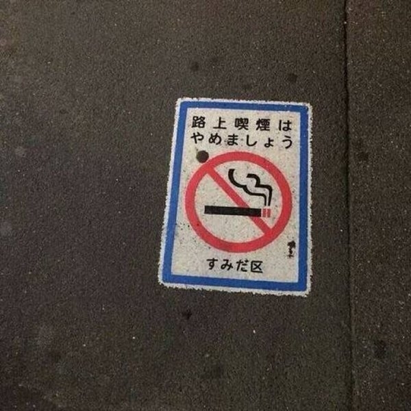 愿我沉醉在这梦中，真情相拥。