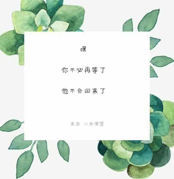 放弃一个傻子，只为一个骗子
