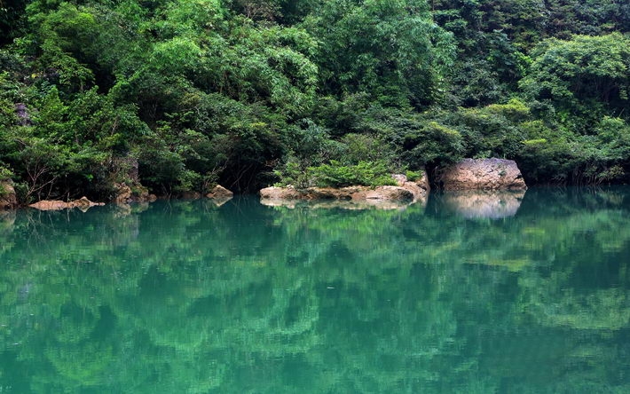 个人收集高清风景桌面1920 1200壁纸【14】