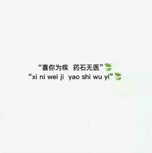 林莜:不建议你的诋毁 毕竟狗会向每个人犬吠