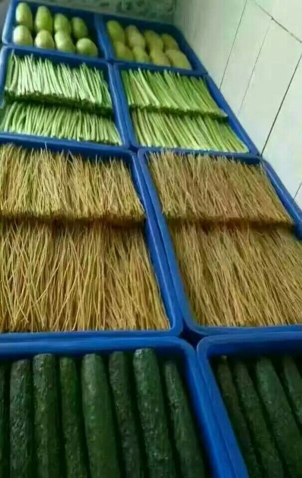 部队食堂简直是强迫症的天堂