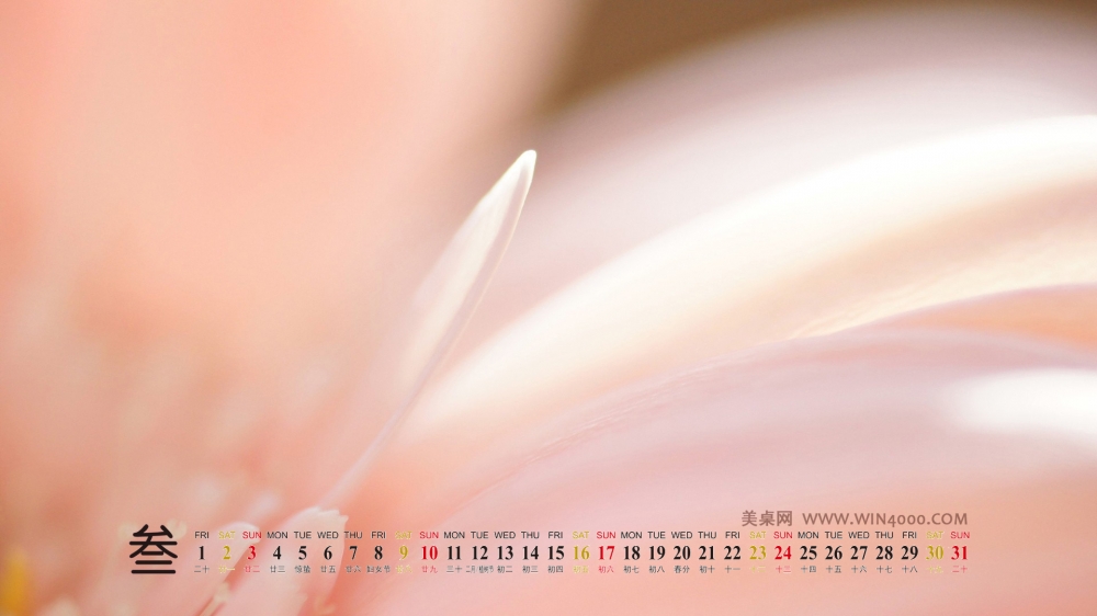 2013年3月高清壁纸之小清新绿色植物