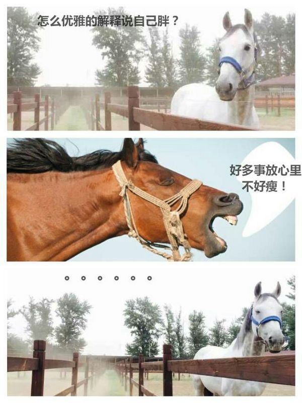 如何用一句话让对方瞬时崩溃