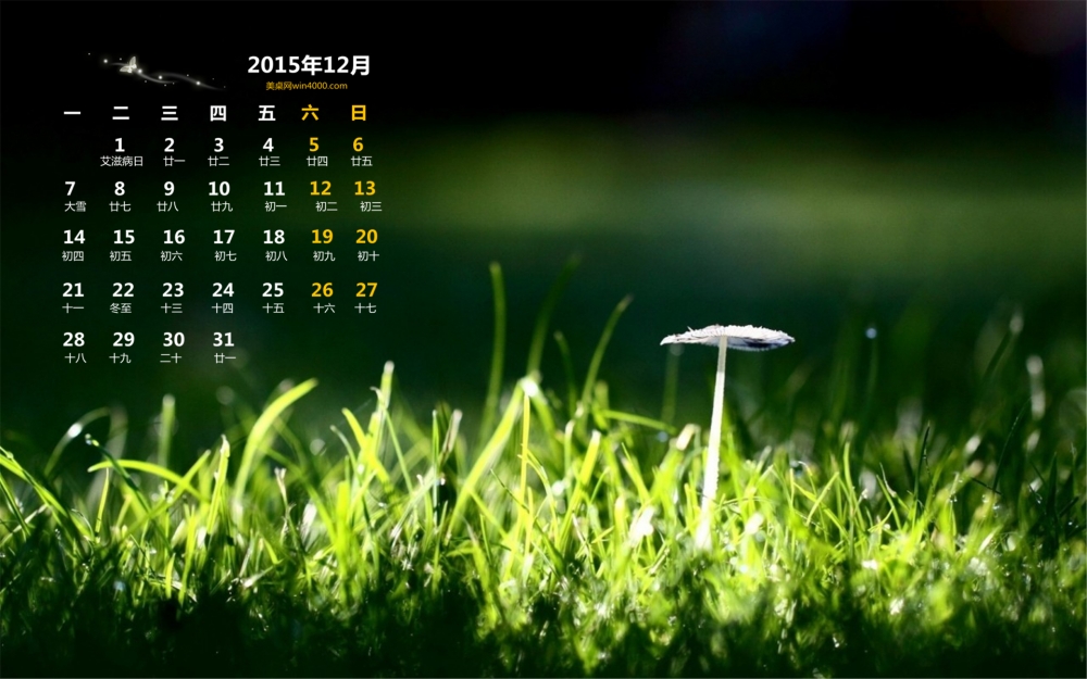 2015年12月份小蘑菇图片高清电脑桌面壁纸1