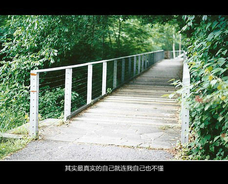 ：沉默掩饰悲伤