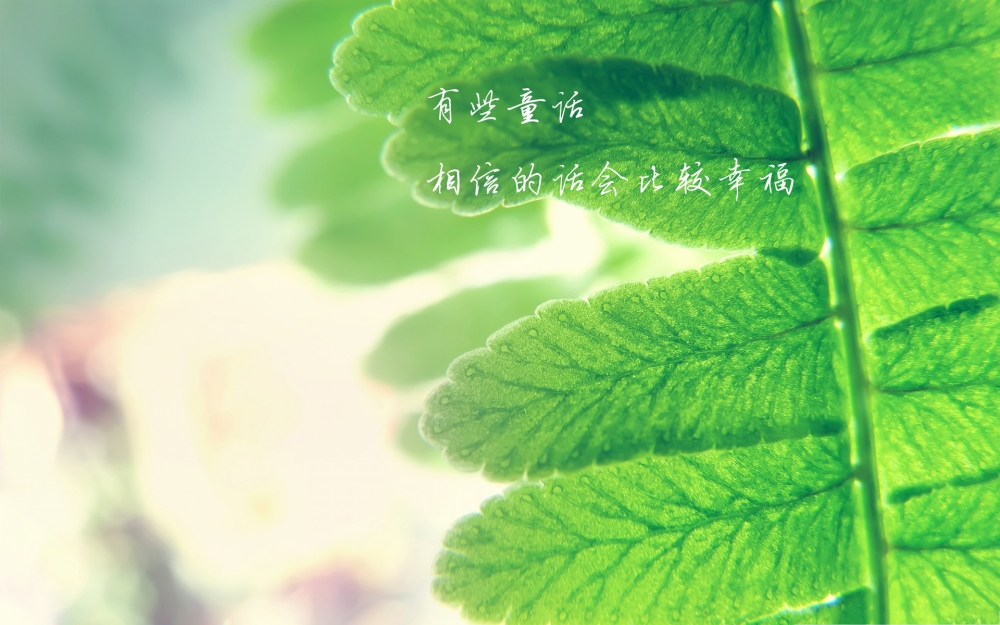 心灵语录文字高清创意风格壁纸 第二辑