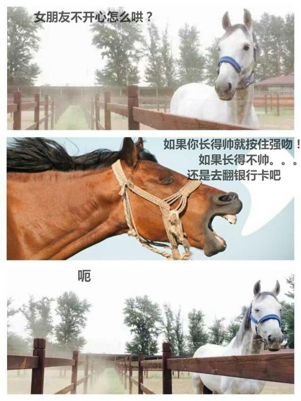 如何用一句话让对方瞬时崩溃