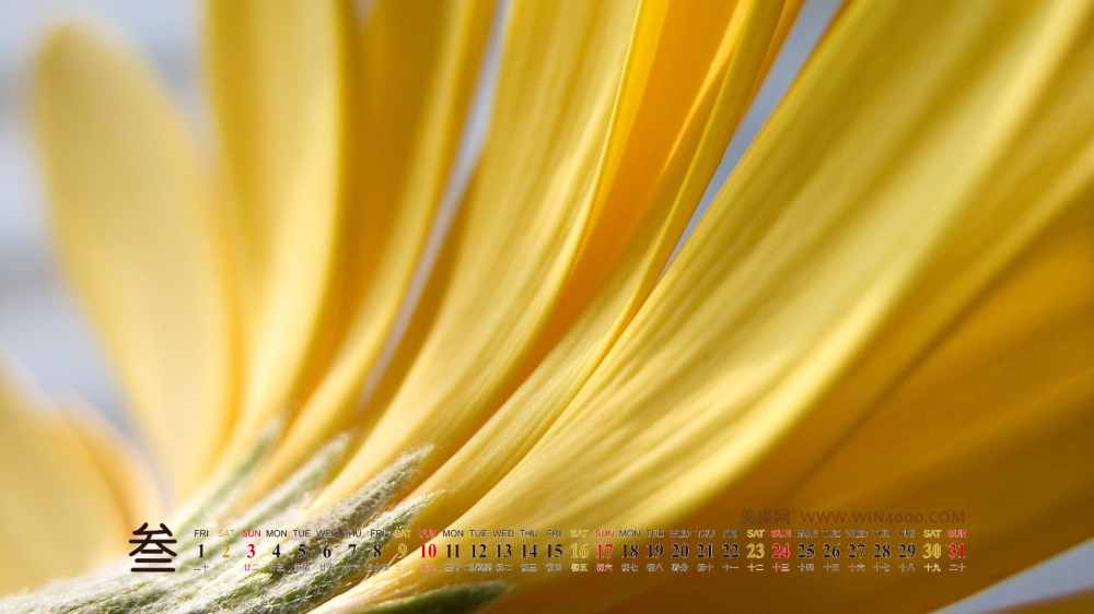 2013年3月高清壁纸之小清新绿色植物