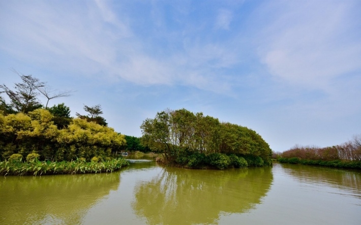 湿地公园唯美风光电脑壁纸