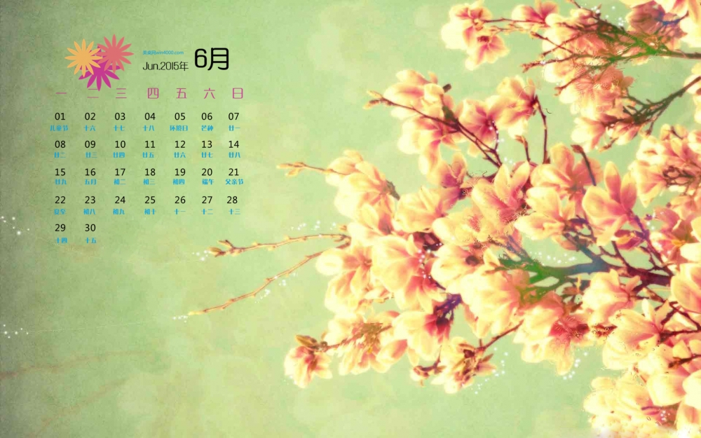 2015年6月日历精选淡雅梅花花卉桌面壁纸下载
