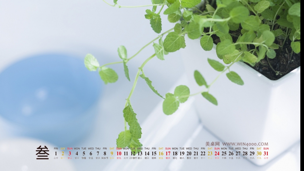2013年3月高清壁纸之小清新绿色植物