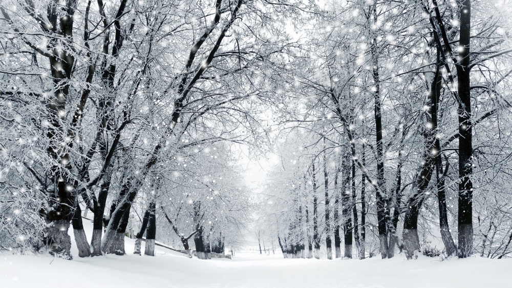 冬天雪景道路风景壁纸高清