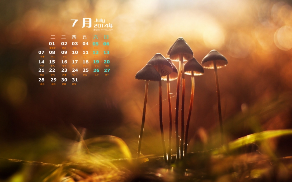 2014年7月日历壁纸绿色清新养眼森林小蘑菇图片