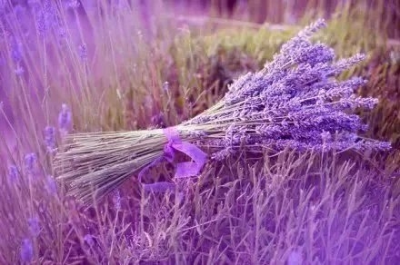 泪落的一瞬，懂了爱
