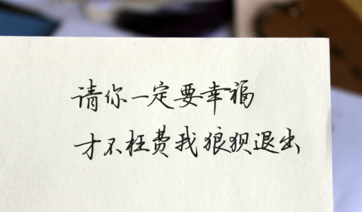 请你一定要幸福 才不枉费我的狼狈退出
