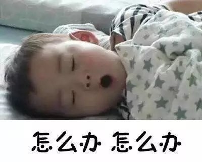 每天早上我的起床大戏都相当丰富