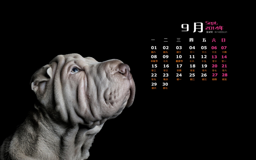 2014年9月日历壁纸高清可爱狗狗图片合集下载第二辑