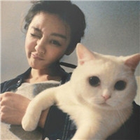 个性时尚抱猫美女qq头像