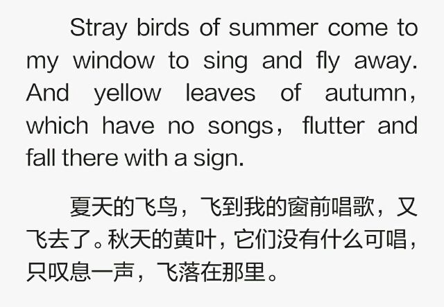 黑白影画。