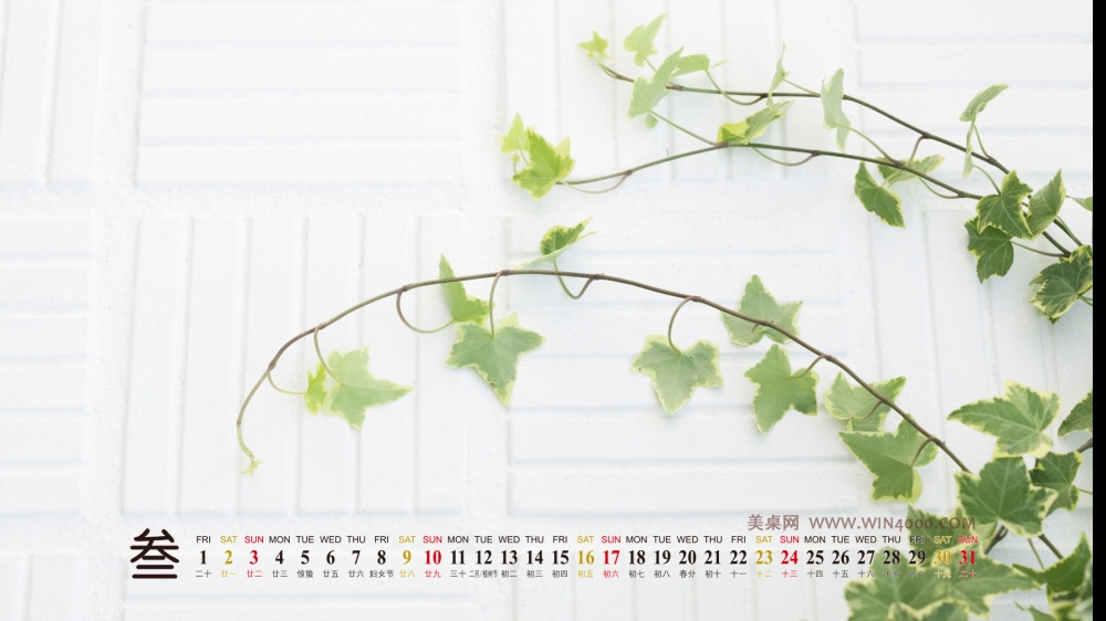 2013年3月高清壁纸之小清新绿色植物