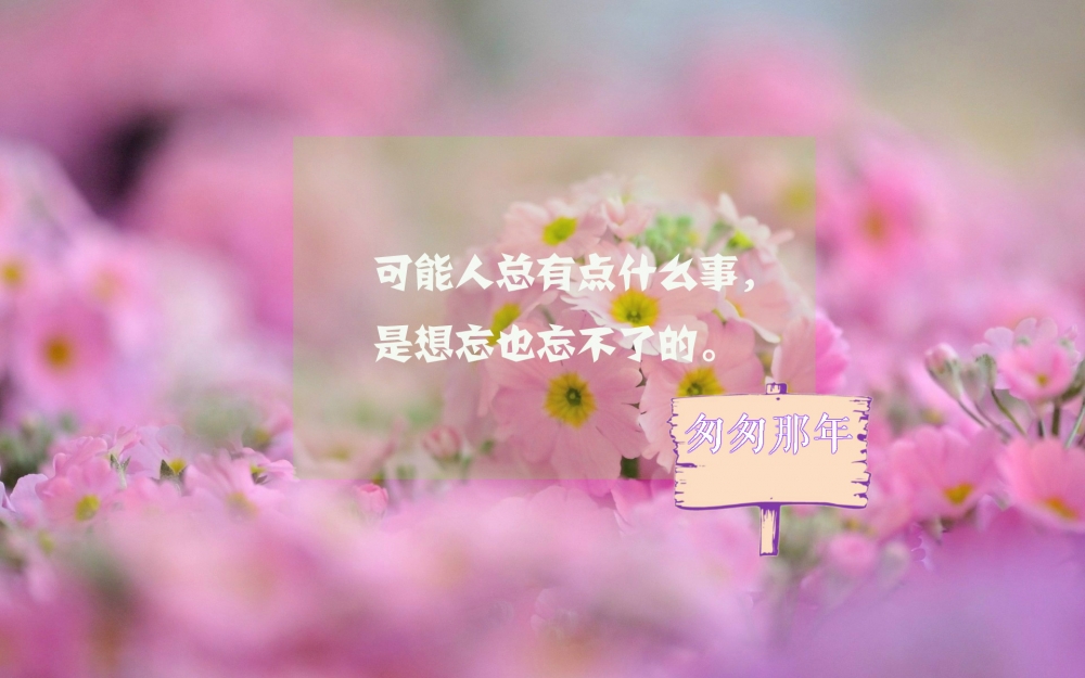 匆匆那年经典语录图片壁纸